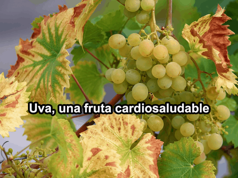 la-uva