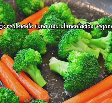 Es realmente sana una alimentación vegana