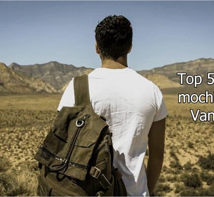 Top 5 de mochilas Vans
