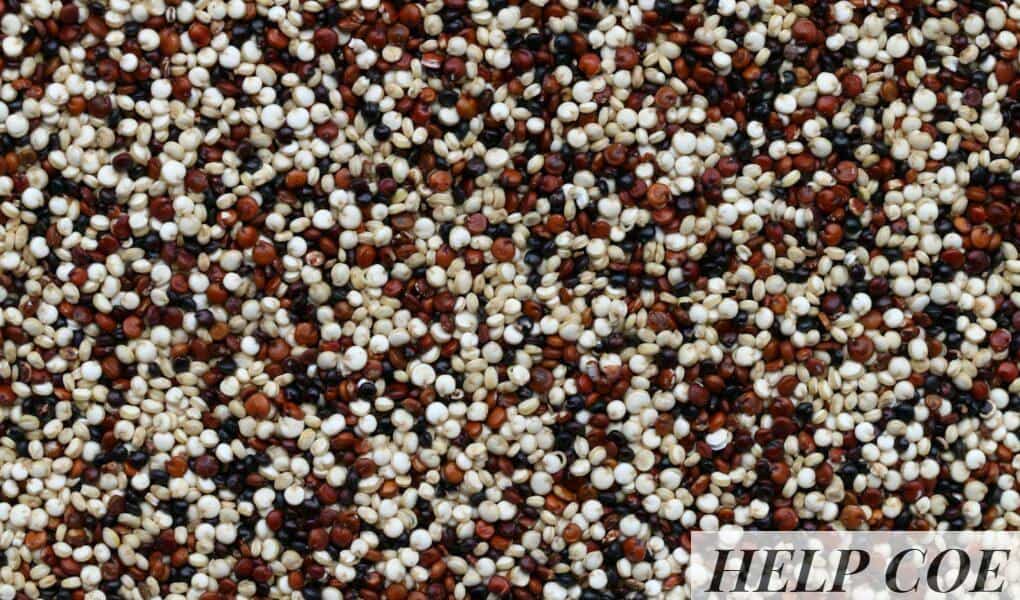 beneficios quinoa