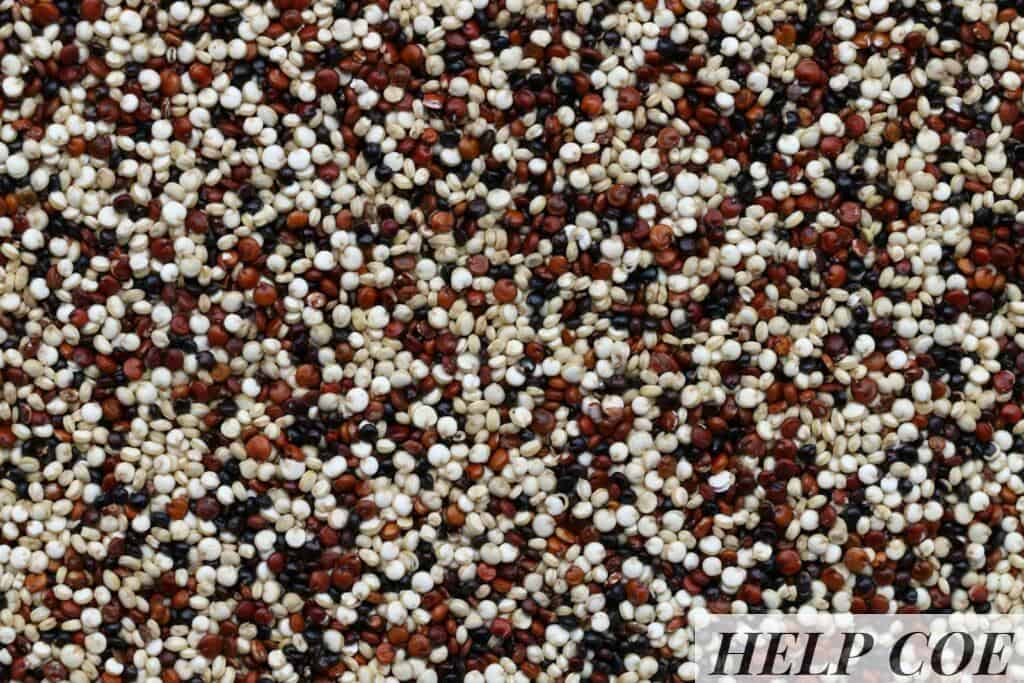 beneficios quinoa