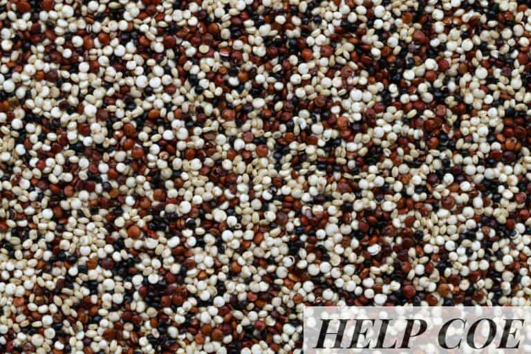 beneficios quinoa