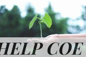 A young sapling held in hands symbolizes growth and sustainability.