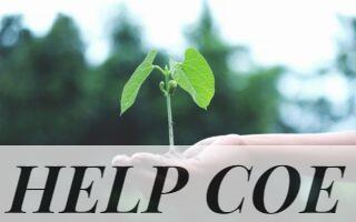 A young sapling held in hands symbolizes growth and sustainability.