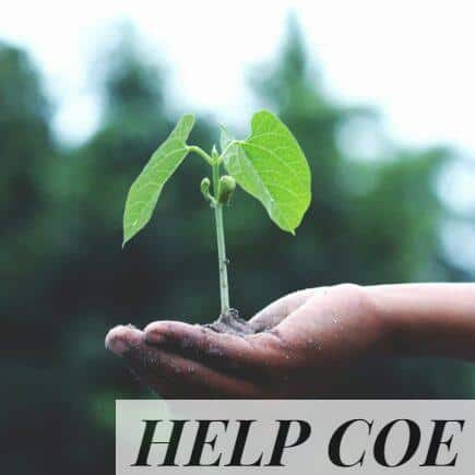 A young sapling held in hands symbolizes growth and sustainability.