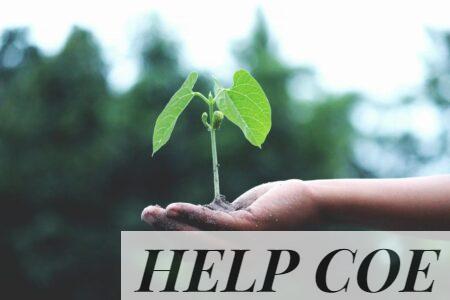 A young sapling held in hands symbolizes growth and sustainability.