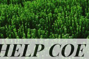 Dense green foliage creating a lush and vibrant field landscape.