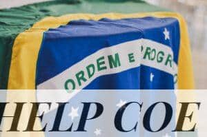 Brazillian flag